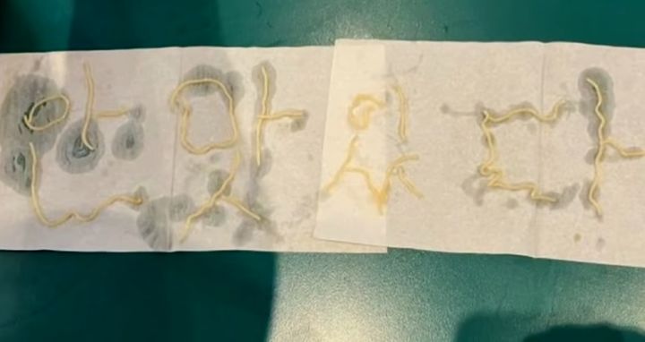 '안 맛있다' 면발로 정성스레 글씨를... 자영업자 '황당'