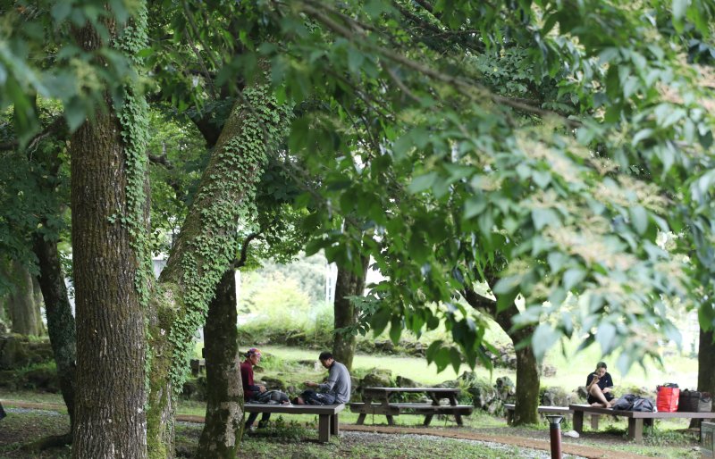 기사와 사진은 무관. 제주 한라산국립공원 관음사 야영장. 2025.8.24/뉴스1 ⓒ News1 오현지 기자