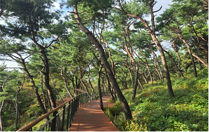 [서울=뉴시스] 남산 하늘숲길 무장애길. 2025.10.31. (사진=서울시 제공) *재판매 및 DB 금지