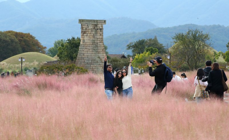 초겨울 추위가 물러가고 평년기온을 회복한 30일 오후 내외국인 관광객이 경주 첨성대 주변에 곱게 물든 핑크뮬리와 첨성대를 배경으로 기념촬영을 하고 있다. 2025.10.30/뉴스1 ⓒ News1 공정식 기자