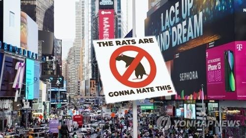 쥐와의 전쟁에 나선 미국 뉴욕 (출처=연합뉴스)