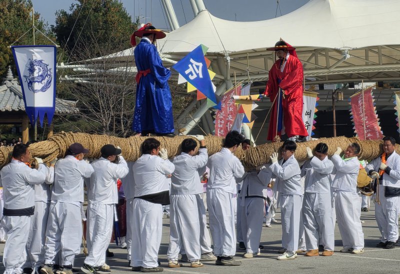 [여주=뉴시스]이준구 기자=여주오곡나루축제 개막식에서 전국민속예술경연대회 대통령상을 수상한 쌍용거줄다리기를 여주시농민단체 회원들이 시연하고 있다.2025.10.31.caleb@newsis.com *재판매 및 DB 금지