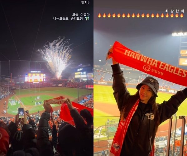 내가 승리요정! LG vs 한화 '찐팬' 스타들 치열한 응원 열전 [N이슈]