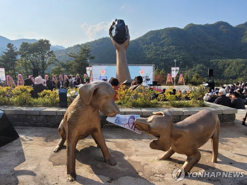 돈을 물고 다니던 바둑이 (출처=연합뉴스)