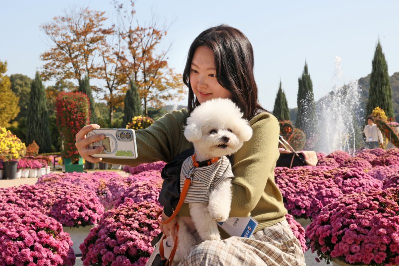 31일 전북 임실군 치츠테마파크에서 두 번째 펫투어가 열리고 있는 가운데 견주가 반려견과 사진을 찍고 있다.(임실군제공. 재판매 및 DB금지)2025.10.31/뉴스1 ⓒ News1 김동규 기자
