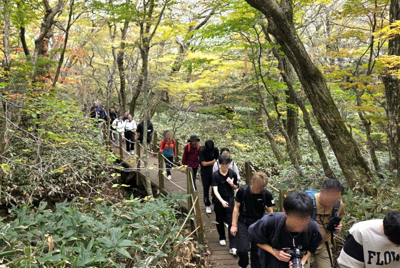 [제주=뉴시스] 30일 관광객들이 단풍이 막 들기 시작한 제주 한라산 성판악 탐방로를 오르고 있다. (사진=뉴시스DB) 2025.10.31. photo@newsis.com *재판매 및 DB 금지