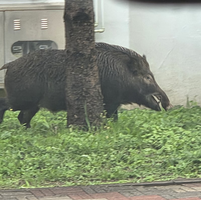 사진은 기사와 관련없음