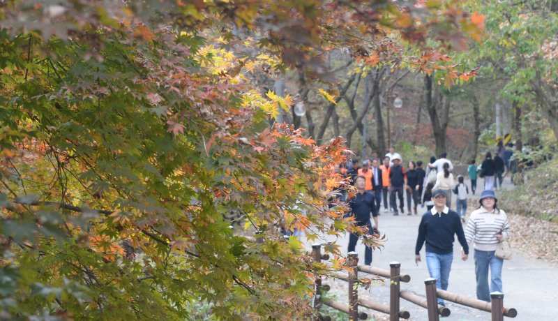 (출처=뉴시스/NEWSIS)