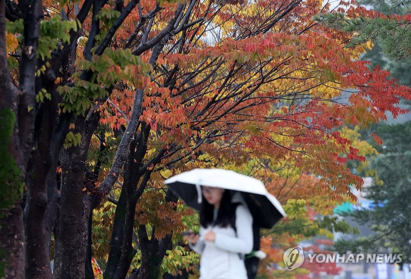 비 내리는 캠퍼스 (출처=연합뉴스)