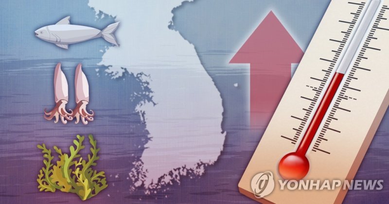 한반도 바다, 수온 상승 생태변화 (PG) (출처=연합뉴스)