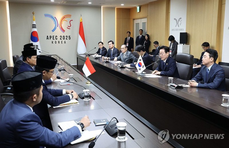 한-인도네시아 정상회담 (출처=연합뉴스)