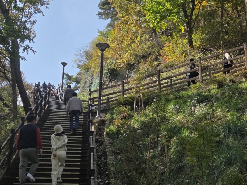 11월 첫 주말인 1일 오전 대전 장태산자연휴양림을 찾은 시민들이 산책을 즐기고 있다. ⓒ 뉴스1 김종서 기자