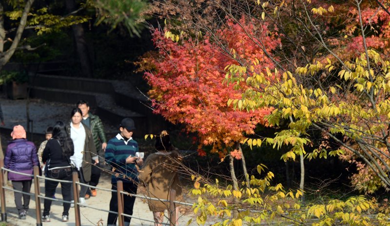 계룡산국립공원 수통골을 찾은 등산객들이 울긋불긋 물들어가는 단풍을 구경하며 산행을 즐기고 있다. (자료사진) ⓒ News1 장수영 기자