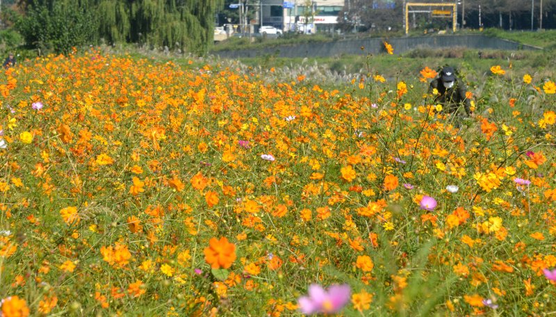 (출처=뉴시스/NEWSIS)