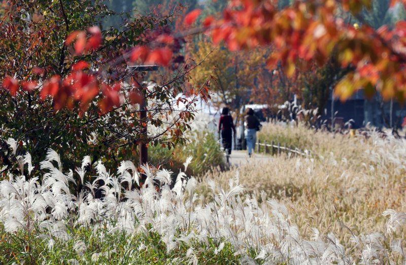 자료사진 /뉴스1 ⓒ News1