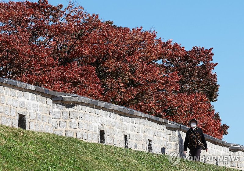 파란 하늘과 단풍 (출처=연합뉴스)