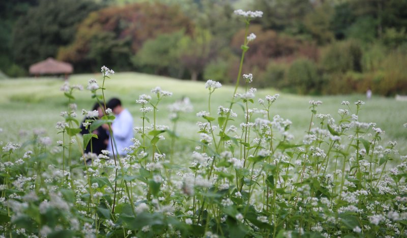 (출처=뉴시스/NEWSIS)
