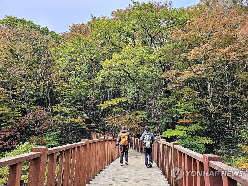 가을 한라산에서 (출처=연합뉴스)