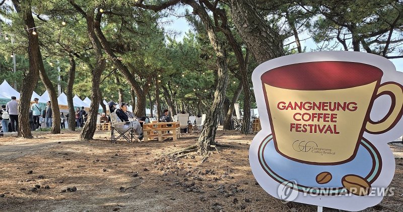 강릉 커피 축제 (출처=연합뉴스)