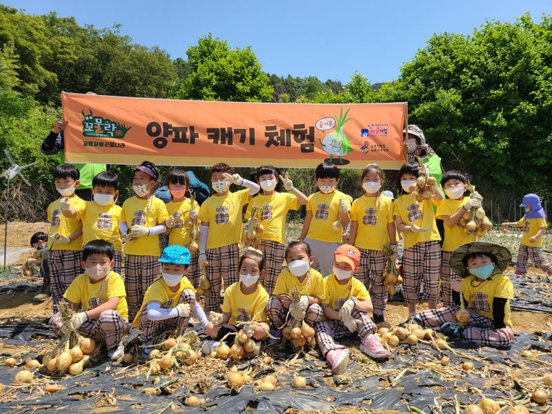 전남도는 지역 농촌체험 활성화를 위해 추진 중인 '남도체험투어 프로그램'을 연말까지 온라인 플랫폼 '남도장터' 테마관에서 10% 할인된 가격으로 판매한다고 밝혔다. 사진은 양파 캐기 체험 모습. 전남도 제공