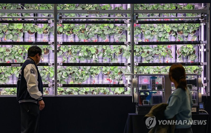 2024 월드 푸드테크 엑스포 (출처=연합뉴스)