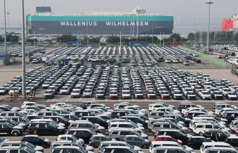 경기 평택시 포승읍 평택항에 수출용 차량이 세워져 있다. 2025.10.30/뉴스1 ⓒ News1 김영운 기자