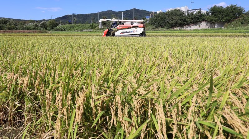 ⓒ News1 김기태 기자