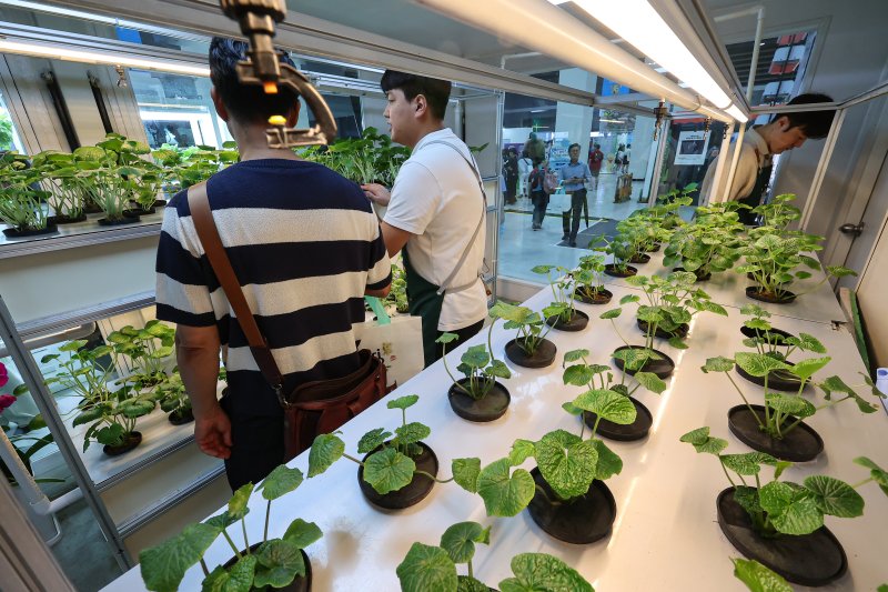 ⓒ News1 김도우 기자