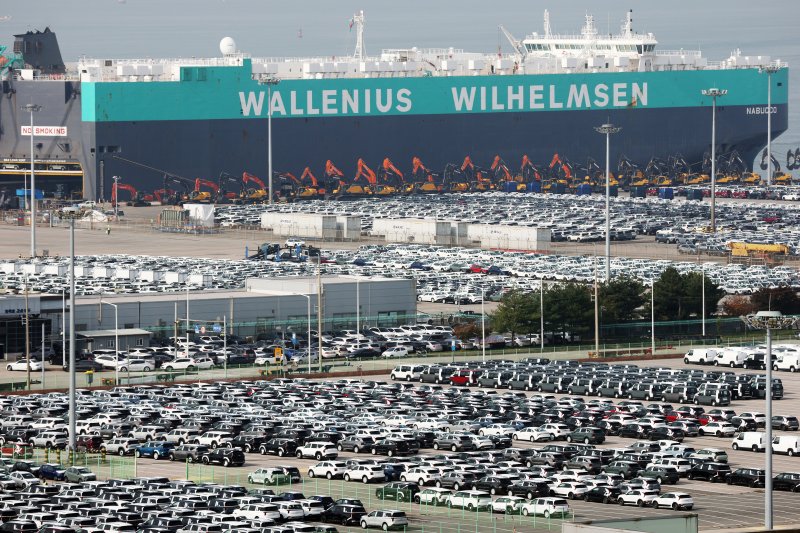 경기 평택시 포승읍 평택항에 수출용 차량이 세워져 있는 모습. 2025.10.30/뉴스1 ⓒ News1 김영운 기자