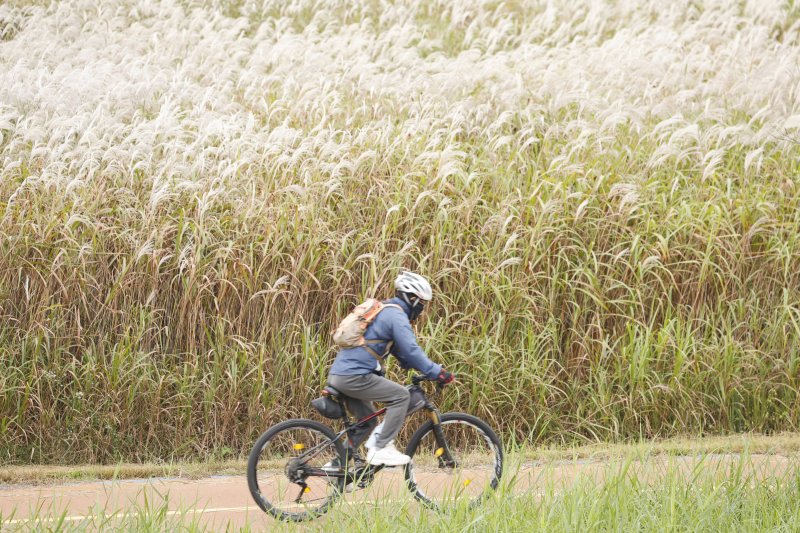21일 아침저녁으로 쌀쌀한 날씨가 이어지는 가운데 광주 서구 서창 영산강 자전거길에 시민들이 자전거를 타고 있다. 2025.10.21/뉴스1 ⓒ News1 김태성 기자