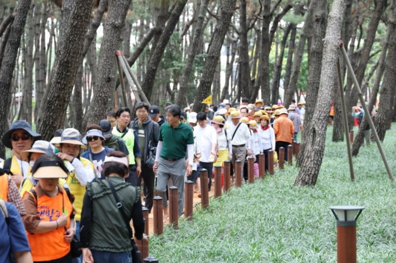 [포항=뉴시스] 산림청이 주관한 '대한민국 모범 도시 숲'에 최종 선정된 포항 송도 솔밭 도시 숲에서 지난 6월 열린 '대한민국 맨발 걷기 축제. (사진= 제공) 2025.11.02. photo@newsis.com