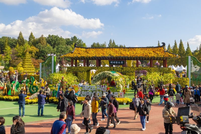 익산 천만송이 국화축제 (출처=연합뉴스)