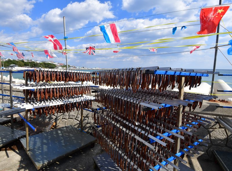 2일 경북 포항시 남구 구룡포 해안도로에서 상인들이 지역 특산물인 꽁치 과메기를 해풍에 말리고 있다. ⓒ News1 최창호 기자