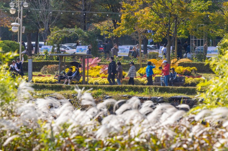 '제22회 익산 천만송이 국화축제'가 76만명의 누적 관람객을 기록하며 열흘간의 축제 대장정을 마무리했다.(익산시 제공. 재판매 및 DB 금지)