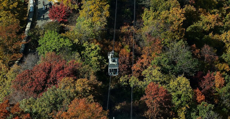 기온이 뚝 떨어진 2일 오후 서울 중구 N서울타워에서 바라본 남산에 단풍이 물들어 있다. 2025.11.2/뉴스1 ⓒ News1 김진환 기자