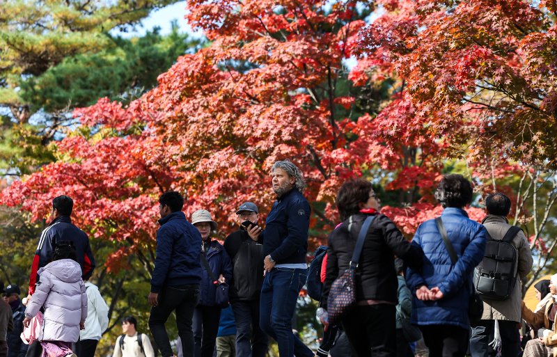 기온이 뚝 떨어진 2일 오후 서울 중구 남산을 찾은 시민과 관광객들이 가을의 정취를 느끼고 있다. 2025.11.2/뉴스1 ⓒ News1 김진환 기자
