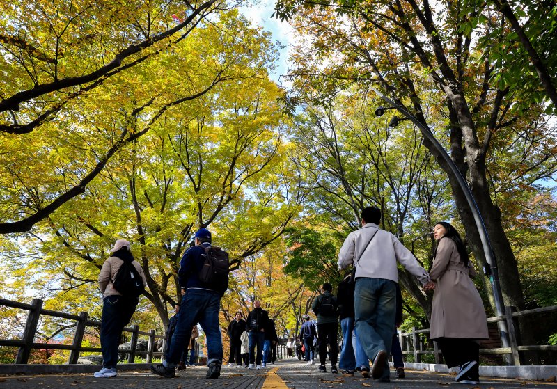 기온이 뚝 떨어진 2일 오후 서울 중구 남산을 찾은 관광객들이 단풍길을 거닐고 있다. 2025.11.2/뉴스1 ⓒ News1 김진환 기자