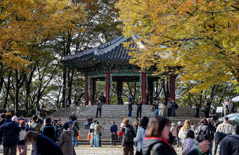 기온이 뚝 떨어진 2일 오후 서울 중구 남산을 찾은 시민과 관광객들이 가을의 정취를 느끼고 있다. 2025.11.2/뉴스1 ⓒ News1 김진환 기자
