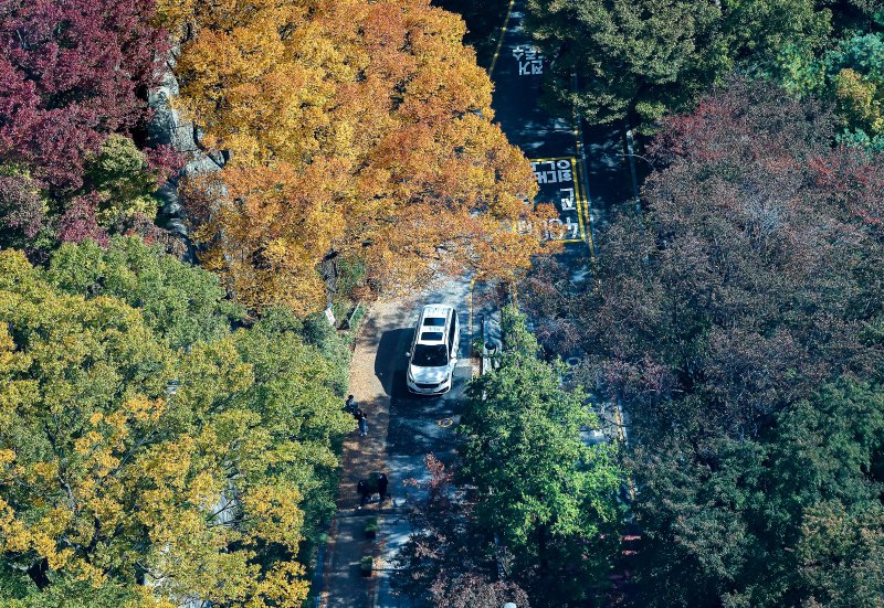 기온이 뚝 떨어진 2일 오후 서울 중구 N서울타워에서 바라본 남산에 단풍이 물들어 있다. 2025.11.2/뉴스1 ⓒ News1 김진환 기자