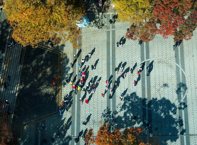 기온이 뚝 떨어진 2일 오후 서울 중구 N서울타워에서 바라본 남산에 단풍이 물들어 있다. 2025.11.2/뉴스1 ⓒ News1 김진환 기자