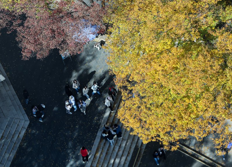 기온이 뚝 떨어진 2일 오후 서울 중구 N서울타워에서 바라본 남산에 단풍이 물들어 있다. 2025.11.2/뉴스1 ⓒ News1 김진환 기자