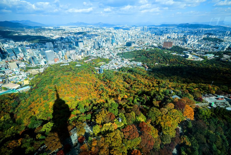기온이 뚝 떨어진 2일 오후 서울 중구 N서울타워에서 바라본 남산에 단풍이 물들어 있다. 2025.11.2/뉴스1 ⓒ News1 김진환 기자
