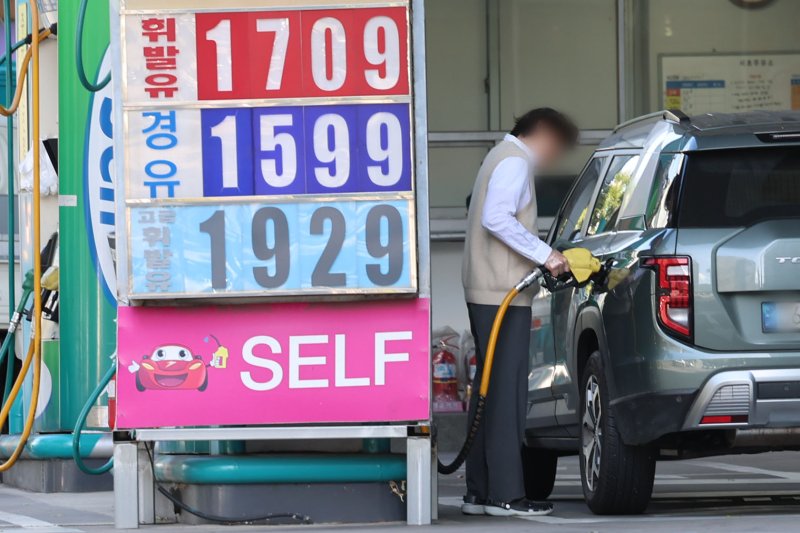 [서울=뉴시스] 2일(현지시간) 파이낸셜타임스(FT)에 따르면 오펙플러스 산유국 8개국은 12월 하루 13만7000배럴의 원유를 추가 생산하되, 내년 1~3월에는 증산을 멈추겠다고 밝혔다. 서울 시내 한 주유소에 유가정보가 게시되어 있다. 2025.11.03.