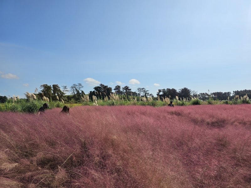 (출처=뉴시스/NEWSIS)