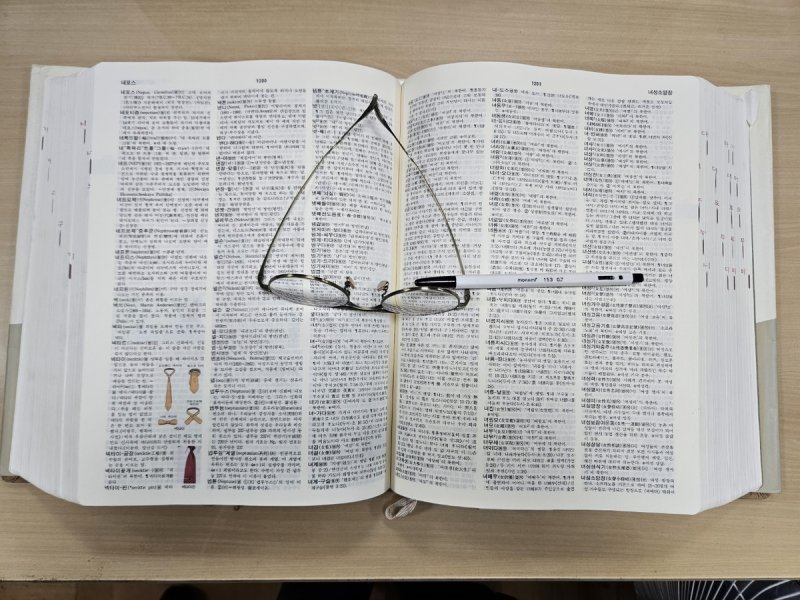 [이런말저런글] '새' 감독과 '새로운' 팀 (출처=연합뉴스)