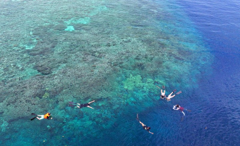 29일(현지시간) 인도네시아 마나도 부나켄 해양국립공원에서 이스타항공의 인천-마나도 첫 편을 통해 도착한 관광객들이 스노쿨링과 다이빙을 즐기고 있다. 2025.10.29/뉴스1 ⓒ News1 안은나 기자