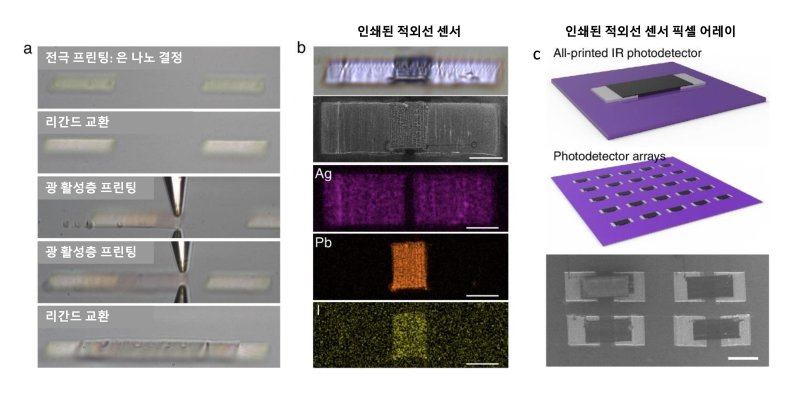 적외선 센서 픽셀 3차원 프린팅(KAIST 제공) /뉴스1
