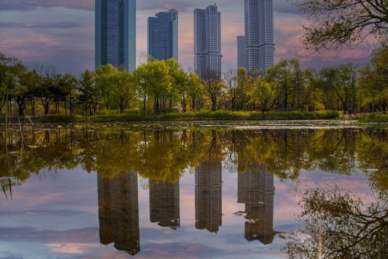 서울숲 전경 (출처=연합뉴스)