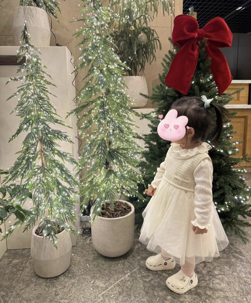 '이병헌♥' 이민정, 붕어빵 2살 딸 공개 "드레스 공주병"