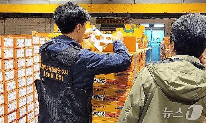 상품외감귤 단속 현장.(제주특별자치도 제공, 재판매 및 DB 금지)